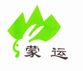 包头市金山食品有限责任公司 工商信息与财务分析全攻略